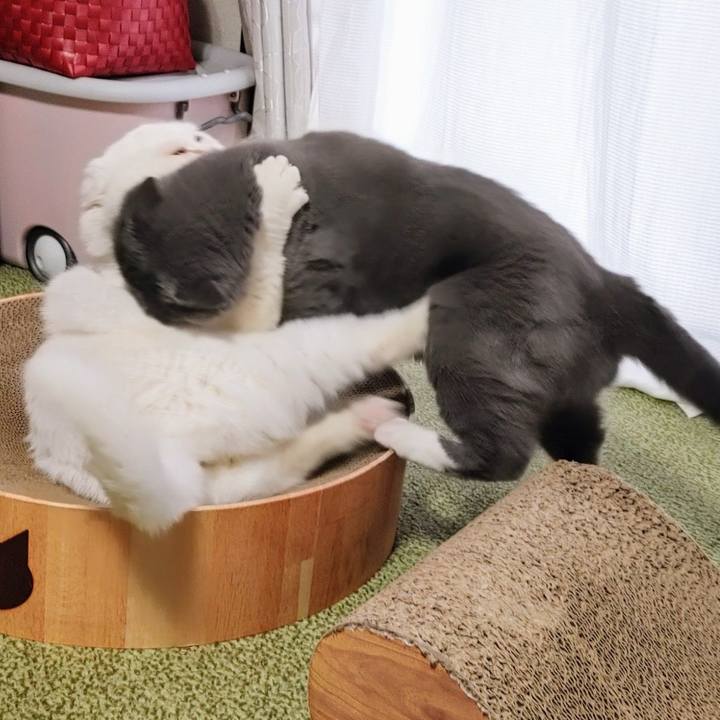 74a6c040 689f 4815 92e3 0756f7674159 1708132112130