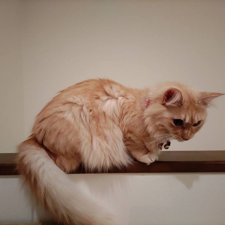 74a6e442 ae89 45f9 acbe ae05c9cd2524 1664803113236