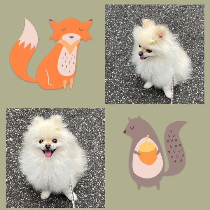 74a6f3ce 1d20 45a7 a444 3f4bbdc21899 1631577724274