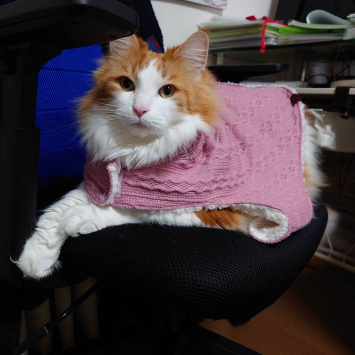 74a6f5d2 1cc4 4ccf 8237 253cf1550973 1646659480657