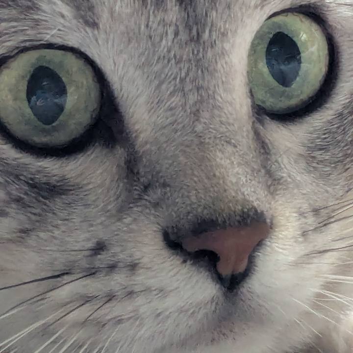 74a7040d a893 4df4 9573 ecce17b3cc42 1755159596789