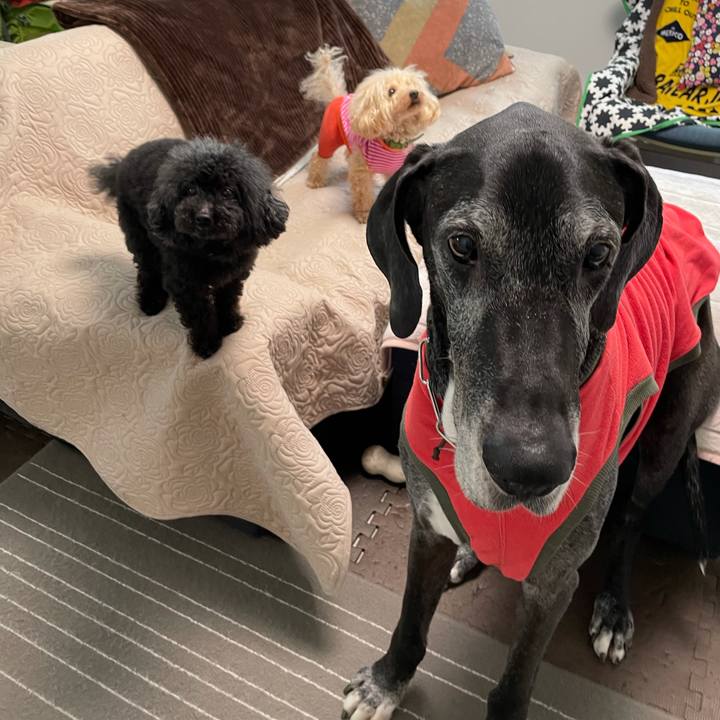 74a737e4 fbca 4467 8b75 1de39bfc4b65 1617576573984