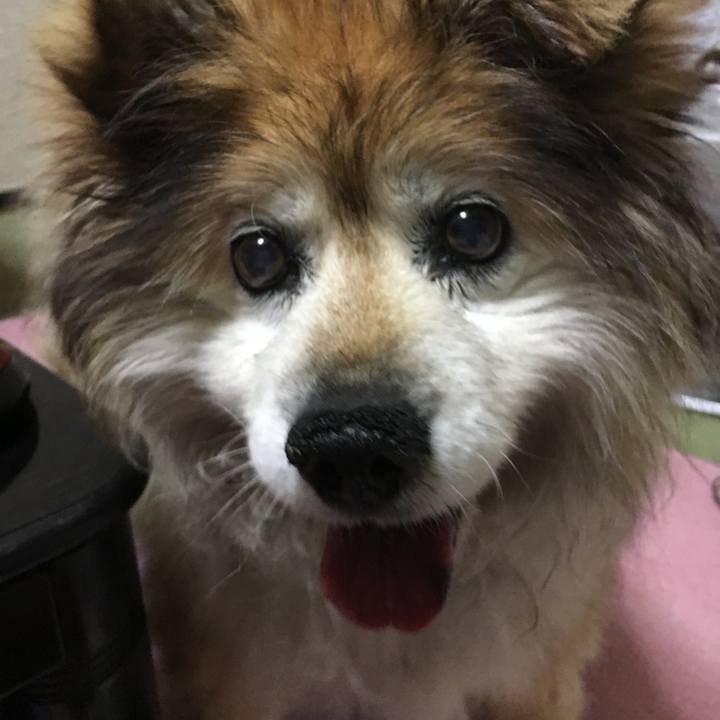 74a749bf beab 4c95 93a6 c758ff5743a9 1598516748655