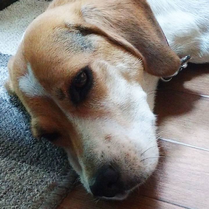 74a74ba6 ccc3 4dd6 af71 5ee34a17a9cc 1598418924041