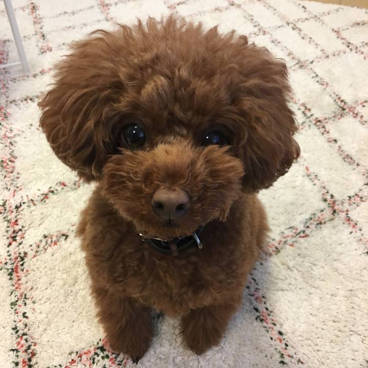 74a772e2 eb83 44ad abb0 8e612b8328b7 1525902197918