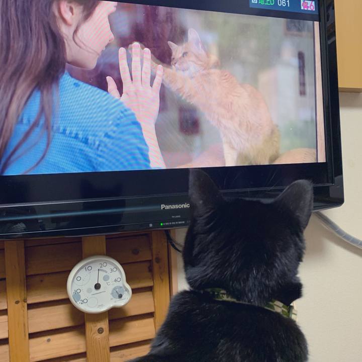 74a79cd5 4b54 40ea 9622 4eb2801caa16 1550496179216