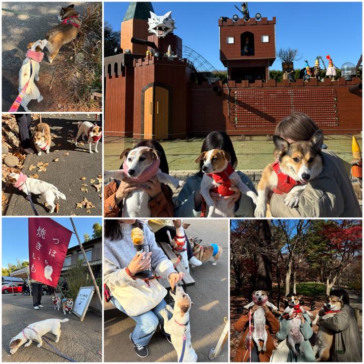 74a7a966 21bd 44b1 b63b 584ecf5fbe7f 1765096461880