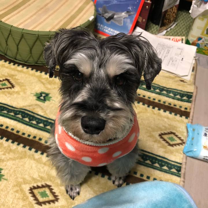 74a7b46d b76b 472a 8839 37f55ebd0ece 1640684522338