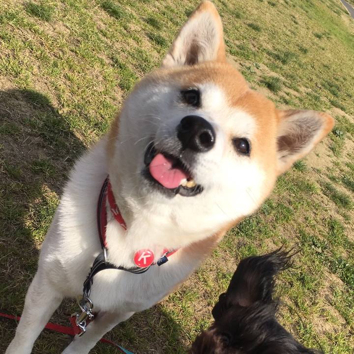 74a7c427 9936 4b46 b659 4870f5f70f39 1586500095966