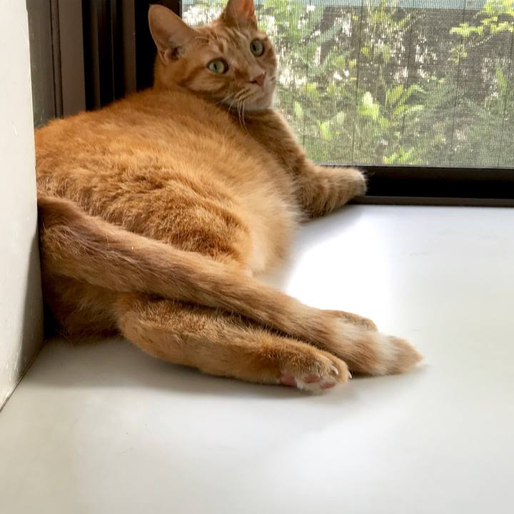 74a7d8d3 d0e4 4f08 b600 d3d8ac260890 1531892641958