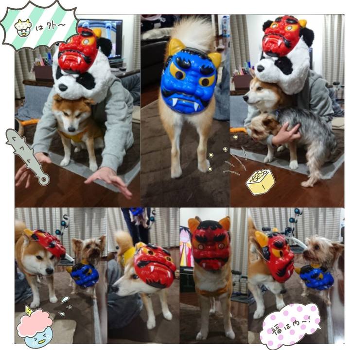 74a7d9ca 95ed 4d21 8a48 e951f457a8a6 1549192107173