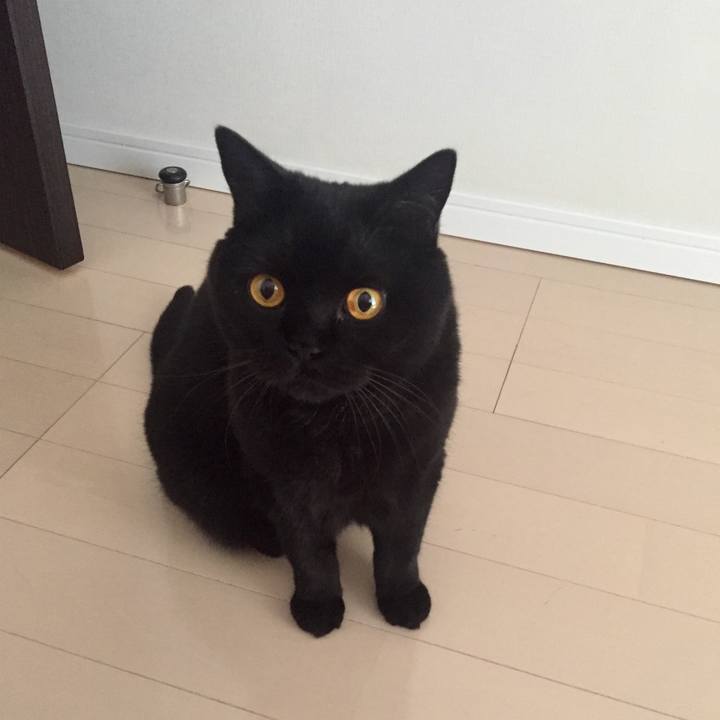 74a82aba 293f 46c7 b5ee 813a36ecf64b 1595975773691