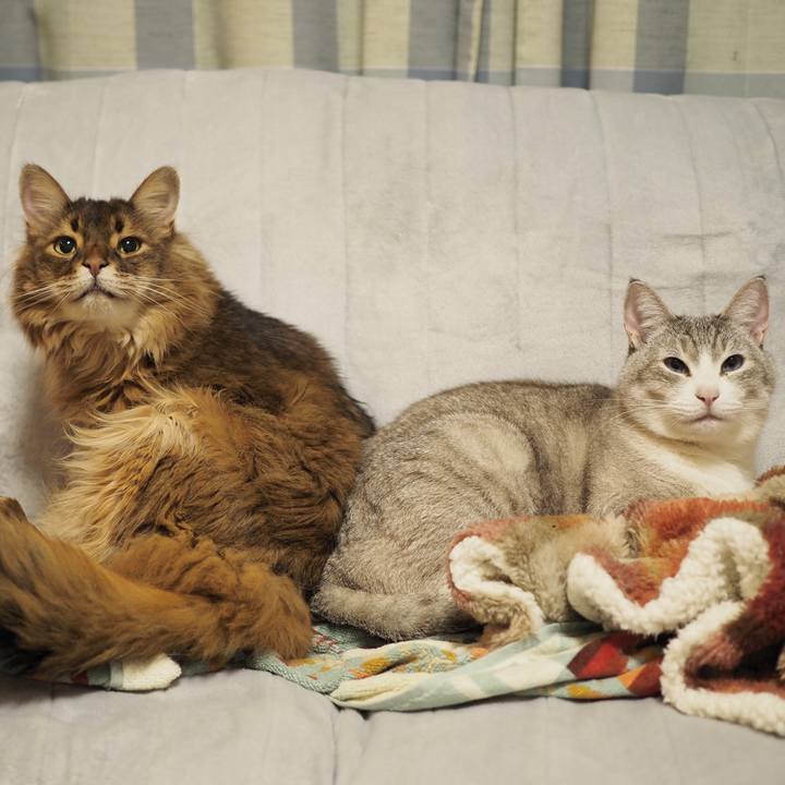 74a84c8e 0572 4de3 89ea b3ca0e20bc32 1742960444765