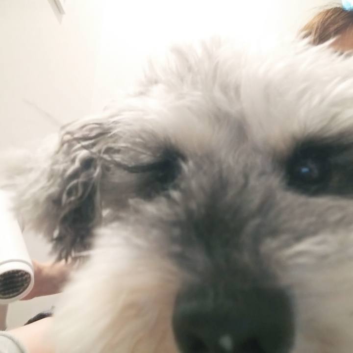 74a89c7b 838f 4dab b60f befc10f6bcd0 1653344646165