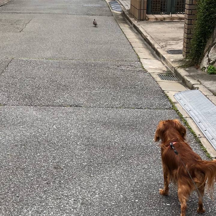 74a8a705 98b7 48e4 809b cc6c5025b517 1526716630486