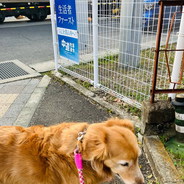 74a8cb07 9234 4de3 9720 d348cfd1025c 1774861136577