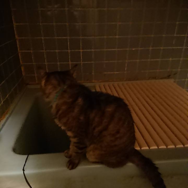 74a8e70f a321 42b0 b41a ff464f3d7ed8 1571649884579