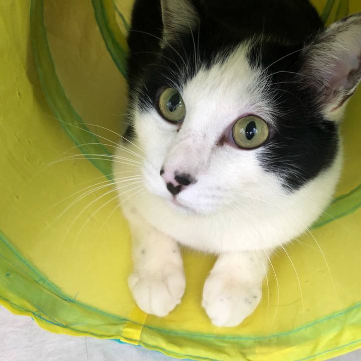 74a91977 a346 40ba ae76 030bad14355d 1550287713333