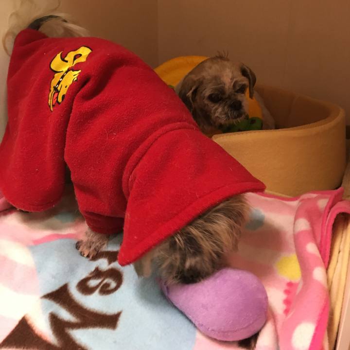 74a94c77 81ca 412d 8f00 476b91763608 1508837594249