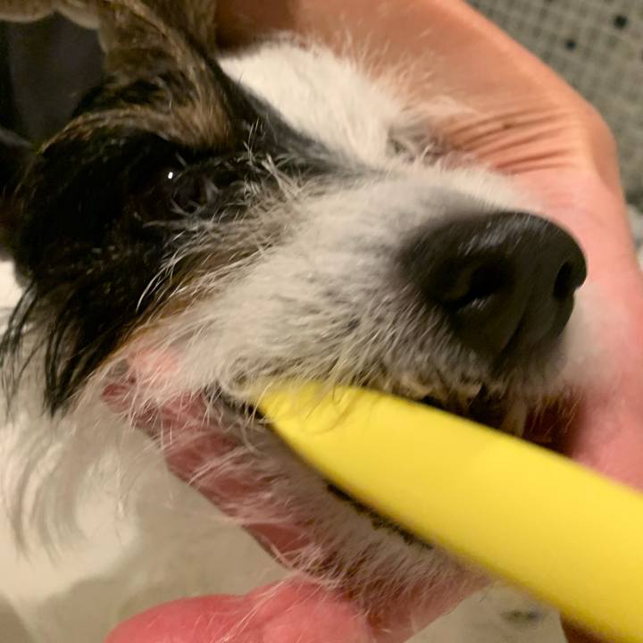 74a95c3c b479 4182 a425 3bea59f8eb5a 1672316927148