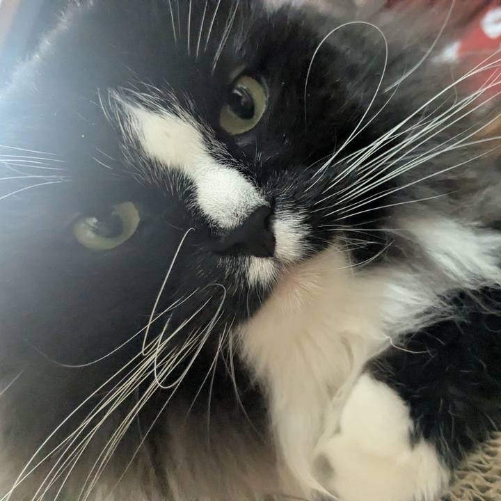 74a98fa9 67ee 46fa a803 06c25a0b43f4 1772277955906