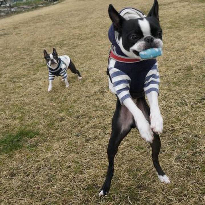 74a99f46 752f 4346 b457 e1e02a8766ed 1549194081378