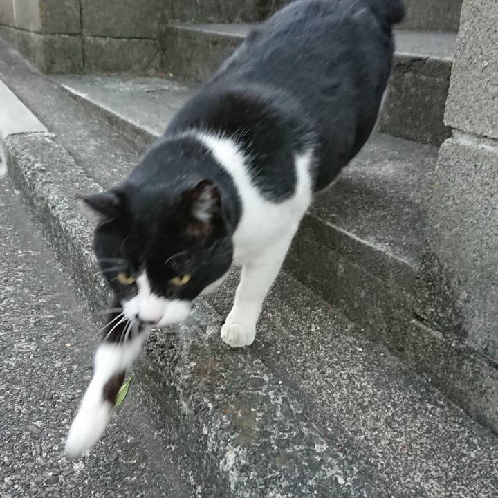 74a9bb78 7541 41e9 a493 340aeb928578 1547970790061