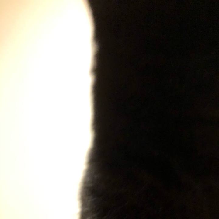 74a9d005 137b 41a5 813a af8c0826b923 1599137343225