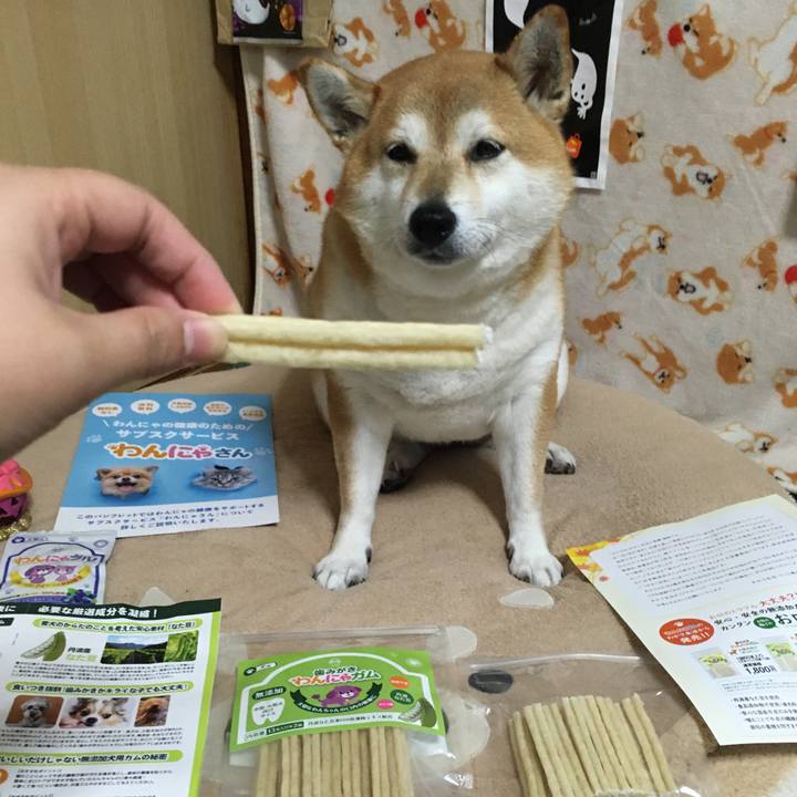 74aa0157 19b6 4a36 a6d7 458289f9e042 1636113818119