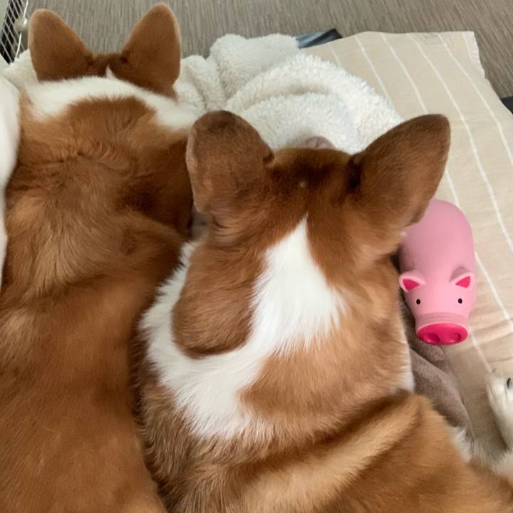 74aa1b73 c11a 4c2e a1d6 400c4f8287bc 1572572079676