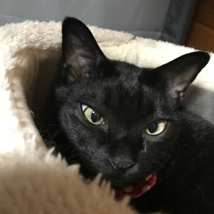 74aa29a5 c642 4399 9c6e dd242b69e729 1514020136207