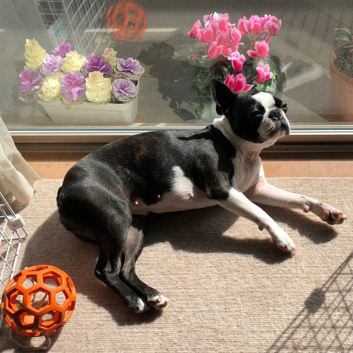 74aa3a9e c7ce 488b 8c75 28105e105a74 1518588093239