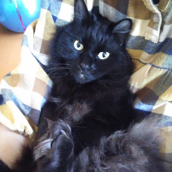 74ab003f d547 4835 a01c 6841c734d00d 1511477376523