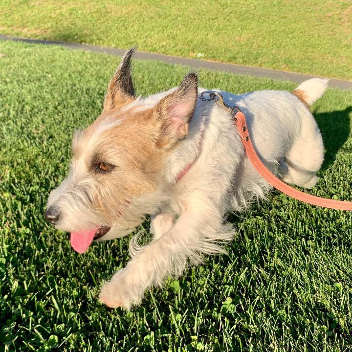 74ab2383 fc3b 440e 9e72 526a918e4546 1663151170005