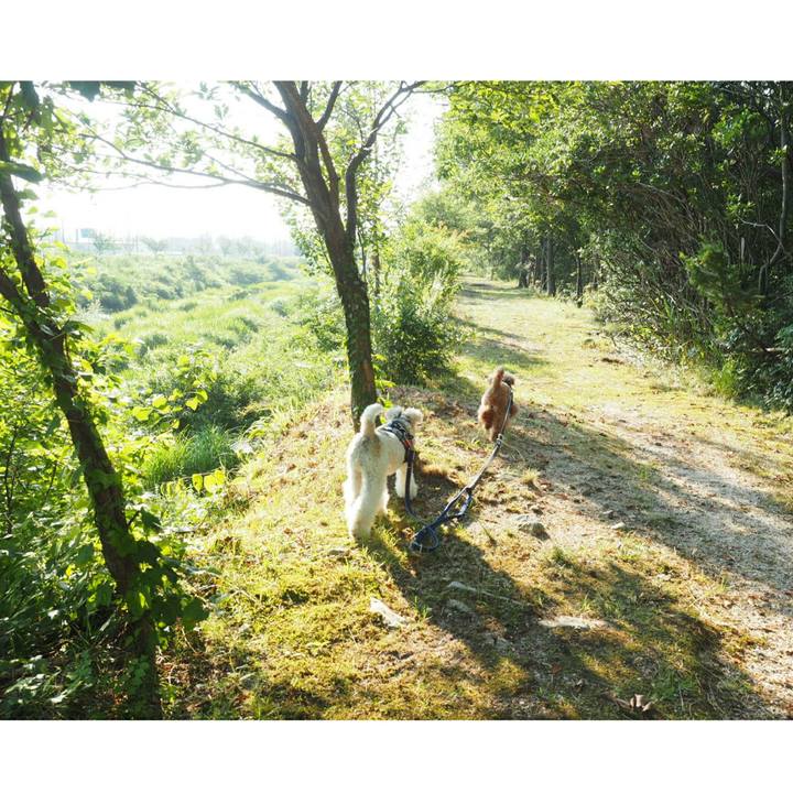 74ab3003 5123 4146 bbd5 34c5ddbc4c47 1531609703268