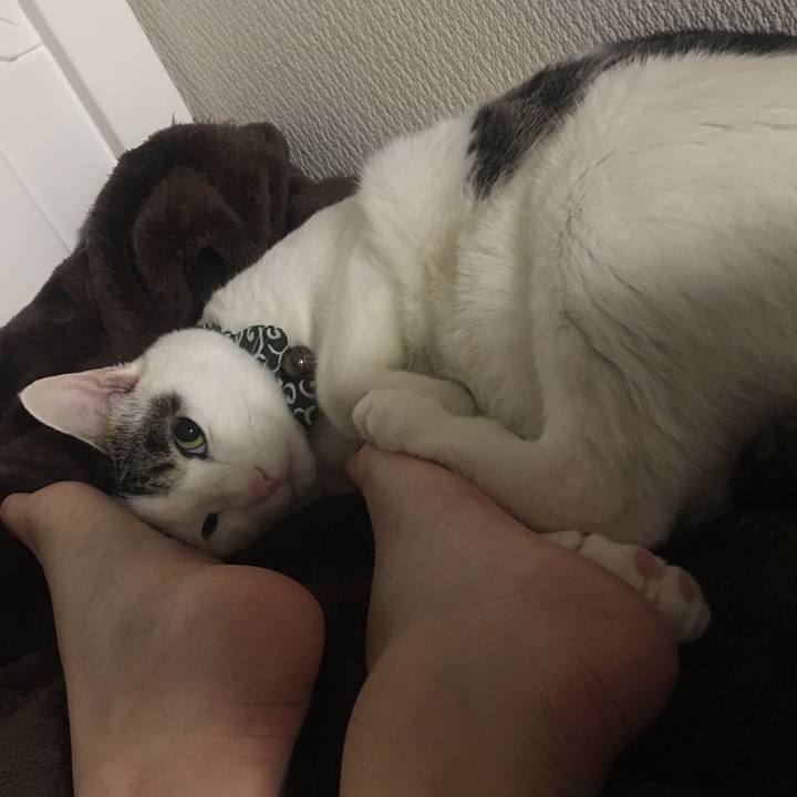 74ab72f9 71f1 415e a346 8577945fc737 1521205037534