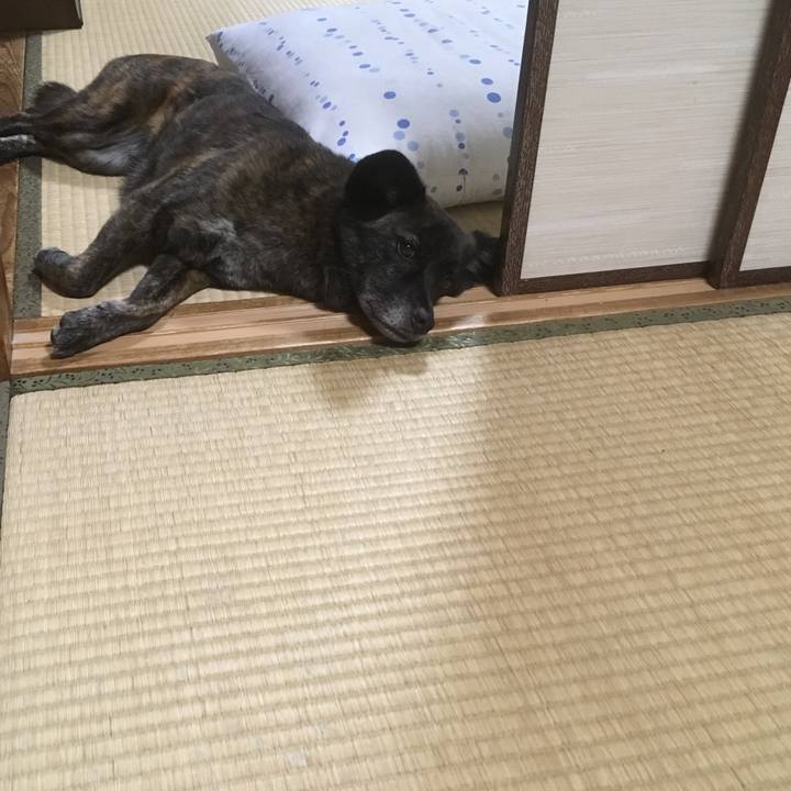 74ab7a08 f935 4a32 b55d 7a8d5e902d46 1529401500418