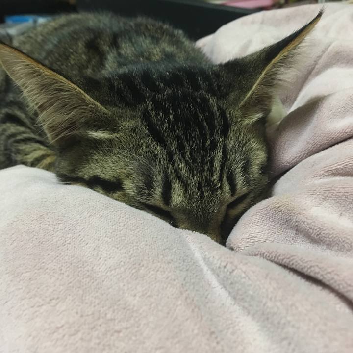 74ab9276 4fcb 4f34 ad38 0e0437853190 1540431953565