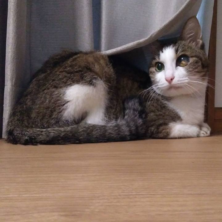 74abb168 775a 43ac a2c0 533b4b868304 1537527426329