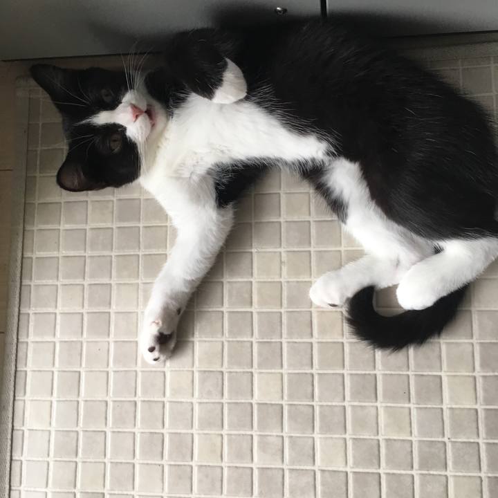 74abc627 f425 4228 bfc4 b8cef6026f6c 1528964378742