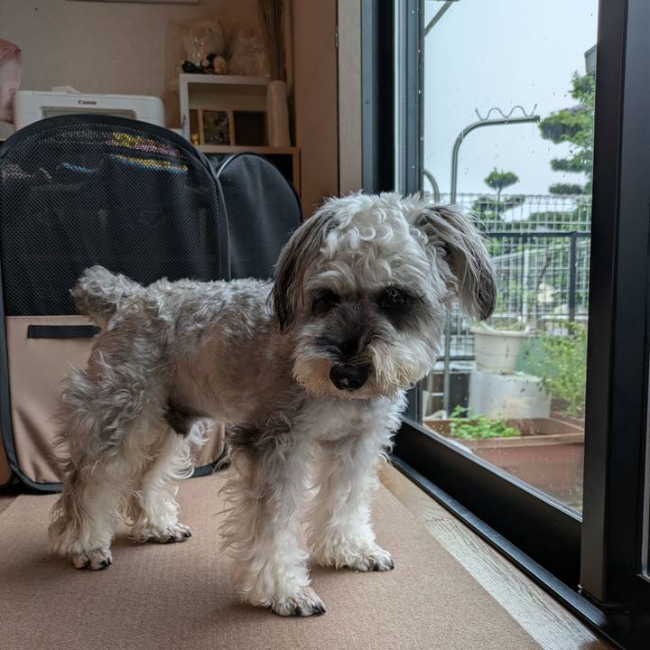 74abe003 2522 4814 a94e c24aaa0f88af 1754608228669