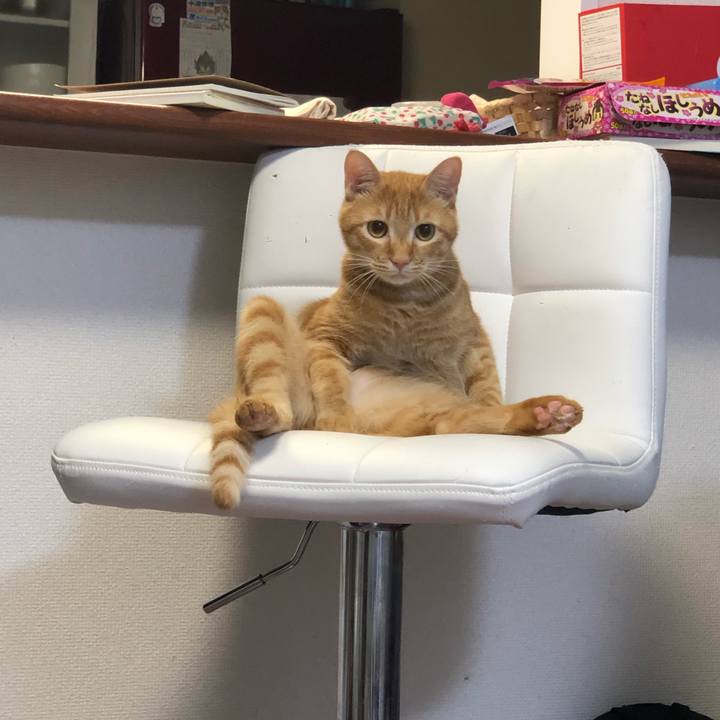 74abf28c 99ce 4a33 8cae f5239300a576 1592319625106