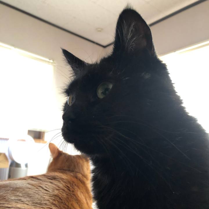 74abf5b6 4f9b 4da5 8e72 790be9dc40db 1587763131185