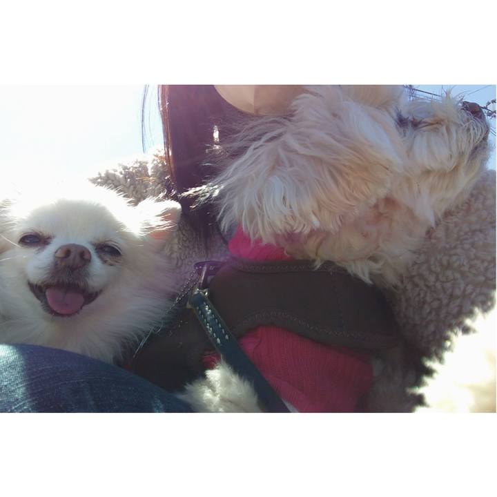 74ac17df f6a5 4329 b3a5 015850abbd1e 1679660885802