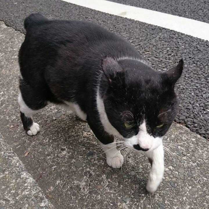 74ac4cbe ed71 4ddd 8655 817e28a665f4 1523667765137