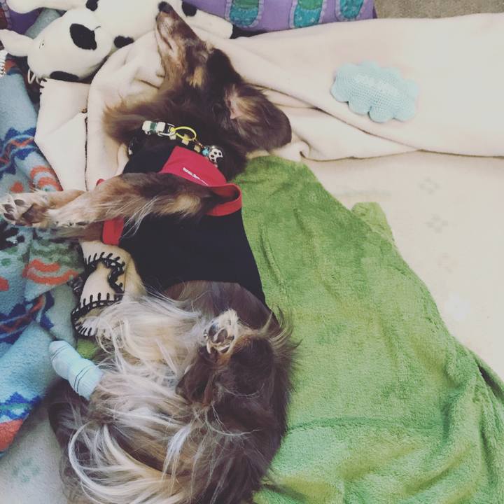 74ac765b 3216 4043 9d0e b4728d3cd6bf 1582094119365