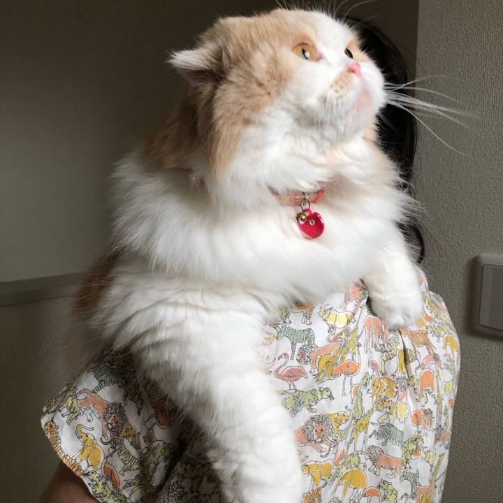 74acbcc0 eb1b 4fd0 9f03 d8caf7fb62b7 1622848827130