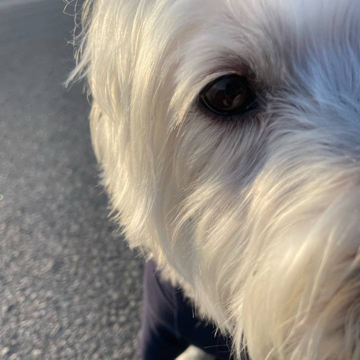 74acfcf1 60cc 467b b769 1cf85c7ae8ef 1744481482400