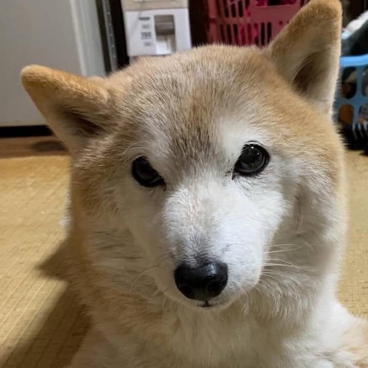 74ad008d 96b6 47e9 b238 480863d4b5e2 1771970083158