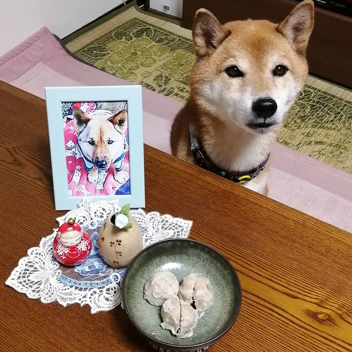 74ad06ce c428 4183 bfb6 afeb56ad2657 1693475628535